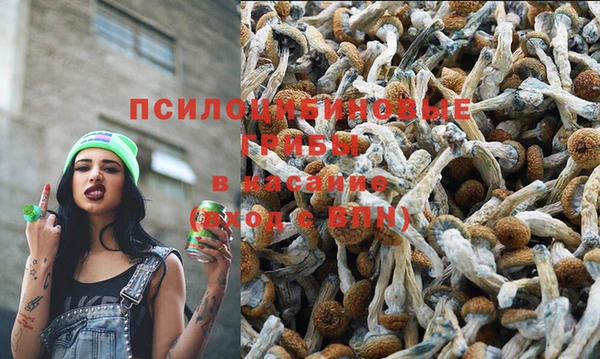 спайс Беломорск