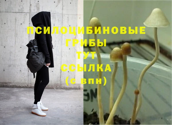 спайс Белокуриха